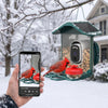 Larkhaven camera feeder on a snowy maple branch with a cardinal, the clip on a phone