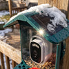 Solar roof with melting snow