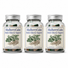 MulberryCalm Daily Glucose Support